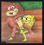  havock sandy_cheeks spongebob_squarepants tagme 