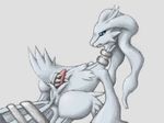  pokemon reshiram tagme 