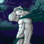  canine cape cloud clouds hand_on_head looking_at_viewer male mammal moon muscles night ninjav nipples scar solo topless wolf 