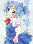  blue_eyes blue_hair cirno sie-sie snowflakes solo touhou wings 