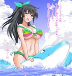  bad_id bad_pixiv_id bikini black_hair blue_eyes blush bow breasts cleavage cloud day dolphin front-tie_top ganaha_hibiki hair_bow high_ponytail idolmaster idolmaster_(classic) large_breasts long_hair marugoshi_teppei open_mouth ponytail sky solo strap_slip swimsuit translated underboob water wet 