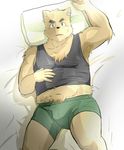  armpit_tuft bed blush boxers canine chest_tuft chubby fat fur male mammal overweight pubes pubic_hair solo sweat tuft underwear wolf z-juugoya_izayoi 