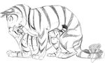  female feral lynx male mammal oskenn plain_background sex sketchkat straight tiger tiggie tiggief white_background 