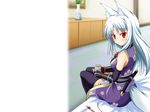  animal_ears bed blush cosplay dog_days drink elbow_gloves foxgirl gloves long_hair necklace photoshop red_eyes tail thighhighs weapon white_hair yukikaze_panettone 
