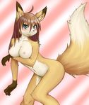  anthro blush breasts brown_hair canine chromatic_background clevage female feniny fox green_eyes hair holding_breasts looking_at_viewer mammal nipples nude pose presenting presenting_breasts raised_tail solo tail young 