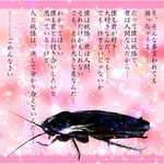  bad_id bad_pixiv_id ban_paku_(arazio) bug cockroach confession insect no_humans parody pov rejection solo touhou translated wriggle_nightbug wriggle_nightbug_(bug) 