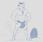  anthro bulge clothed clothing felid feline hat hewge male mammal monochrome muscular muscular_male outside smile solo speedo standing swimsuit topless 