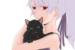  black_cat black_cat_(animal) cat darker_than_black mao_(darker_than_black) purple_eyes silver_hair yin 