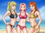  beach bleach fullmetal_alchemist grandchaossr haruno_sakura inoue_orihime naruto swimsuit tagme winry_rockbell 