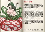  artist_request book character_profile mon-musu_quest! monster_girl monster_girl_profile plant_girl rafflesia source_request translation_request 