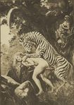  black_and_white breasts cum equine erection female feral horse human human_on_feral interspecies male mammal monochrome penis satyr sepia sheath tree unknown_artist wood zebra 