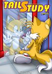  canine crossgender female fox male mammal miles_prower mirror mobius_unleashed palcomix pussy sega side_boob sonic_(series) tail tailsko 