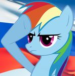  female feral flag friendship_is_magic hasbro horse mammal my_little_pony pony rainbow_dash_(mlp) russia russian_flag solo unknown_artist 