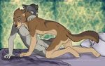  canine cute duo foreplay gay hi_res male mammal sheath tsareia wolf 