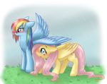  couple cute equine female feral fluttershy_(mlp) friendship_is_magic hasbro mammal my_little_pony pegasus platina-jolteon rain rainbow_dash_(mlp) wings 