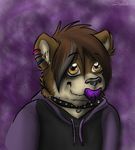  collar cute hoodie male mammal pacifier piercing solo unknown_artist 