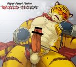  big_muscles build_tiger build_tiger_(character) feline fur gamma-g gay male mammal muscles penis tiger 