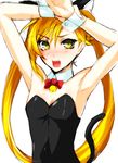  animal_ears armpits bad_id bad_pixiv_id banned_artist blonde_hair blush cat_ears fang kirishima_akari kittysuit long_hair nyan_koi! s_tanly sketch solo tail twintails yellow_eyes 