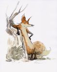  branch canine fox leaning mammal plain_background solo steve_purcell white_background 