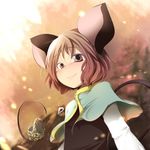  aki_(akikaze_asparagus) animal_ears basket capelet gem grey_hair jewelry mouse mouse_ears mouse_tail nazrin pendant red_eyes short_hair silver_hair solo tail touhou upper_body 
