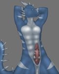  3dinoz anthro blue dragon erection gay horn legs looking_at_viewer male muzzle nude off penis raventhan scalie show slit solo spread_legs spreading tail western 