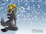  blue_eyes breasts canine cute female furry_wolf hair helsy hindpaw kneeling lafille looking_at_viewer mammal nude paws scarf snow solo winter wolf 