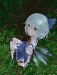  bad_id bad_pixiv_id blue_eyes blue_hair bow cirno dress from_above hair_bow hm in_tree pantyhose short_hair sitting sitting_in_tree solo touhou tree white_legwear wings 