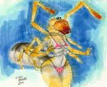  abstract_background arachnid arthropod bikini camel_spider clothed clothing female marker marker_(art) multi_limb multiple_legs seel_dingo seely skimpy solifugid solo spider standing swimsuit 