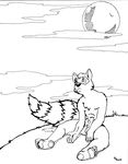  aiden balls black_and_white closet_coon dbruin line_art male mammal monochrome moon nude raccoon sheath solo tail 