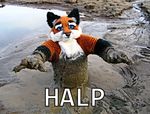  anthro bad_fursuit canine fox mud photo real 