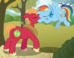  big_macintosh_(mlp) blue_fur brian_mcpherson cloud clouds cutie_mark equine female feral friendship_is_magic fur grass hasbro horse kissing male mammal my_little_pony pegasus pony rainbow_dash_(mlp) sky straight tree wings wood 