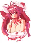  :o animal_ears bare_shoulders blush bow breasts bunny_ears choker cleavage di_gi_charat dice gomamiso_(gomamiso_sp) hair_bow large_breasts long_hair pink_eyes pink_hair ribbon ribbon_choker simple_background solo twintails upper_body usada_hikaru white_background 
