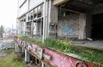  building flower graffiti grass no_humans overgrown photo ruins scenery stairs tree window 