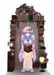  bare_legs blue_eyes book bow crescent hair_bow hair_ornament hat lamp leaf long_hair nabeshima_tetsuhiro panties panties_around_ankles panty_pull patchouli_knowledge plant purple_hair reading sitting slippers solo striped striped_panties toilet toilet_paper toilet_use touhou underwear vase 