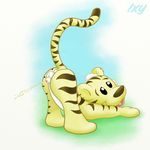  cub feline peeing penis tiger urine watersports young 