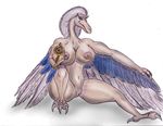  archaeopteryx avian big_breasts bird breasts dinosaucers dinosaur feathers female fossilizer gun molkrom navel nipples nude plain_background pussy ranged_weapon scalie sitting solo talons teryx weapon white_background wings 