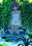  blue_eyes brown_hair bug butterfly collarbone dress hair_ribbon insect lily_pad original plant ribbon short_hair sitting soaking_feet solo strap_slip sundress takenoko_(531) water 