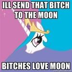  female friendship_is_magic hasbro meme my_little_pony princess_celestia_(mlp) text 