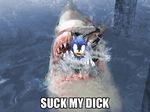  funny shark sonic water words 