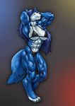  abs anthro biceps big_breasts bikini blue blue_body blue_hair bra breasts butt canine clothing female flexing hair hopey leather lingerie long_hair mammal muscles muscular_female panties pokkuti solo standing swimsuit tail tight_clothing underwear wolf wolfess zaruchen 