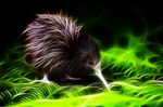 avian beak bird black_fur cute eye feral fractal fur glowing kiwi pandapounce solo 
