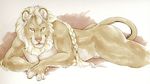 braid butt feline hair lion long_hair looking_at_viewer lying male mammal muscles nude on_stomach plain_background solo tathi white_background 