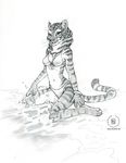  arms beach bikini black_and_white claws clothed clothing digitigrade ear_tuft feline female fur greyscale kacey kneeling legs mammal monochrome navel plain_background seaside signature sketch skimpy solo spread_legs spreading stripes swimsuit tail tiger tuft water whiskers white_background 