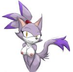  amber_eyes blaze_the_cat breasts cat feline female hair looking_at_viewer mammal nipples nude plain_background purple purple_body purple_hair sega smile solo sonic_(series) tail unknown_artist white_background 