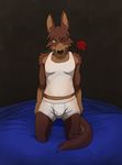  canine cseed dog flower kneeling looking_at_viewer male mammal rose solo tail underwear 