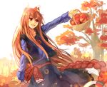  animal_ears apple basket brown_hair food fruit hikariz holo lens_flare long_hair lowres red_eyes solo spice_and_wolf tree very_long_hair wolf_ears 