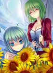  antennae bad_id bad_pixiv_id blue_sky breasts cape cleavage closed_eyes collarbone flower green_eyes green_hair impossible_clothes kazami_yuuka large_breasts multiple_girls nervous parasol plaid plaid_skirt plaid_vest shirt skirt skirt_set sky smile sunflower sweat sweatdrop touhou umbrella vest walzrj whip wriggle_nightbug 
