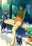  animal arm_support bare_shoulders black_hair blue_eyes bottle bug butterfly crossed_legs dog drink flower haitaka insect light_smile looking_at_viewer md5_mismatch original plant potted_plant puppy sandals shade shiba_inu short_hair short_shorts shorts sitting solo sunlight veranda wind_chime 