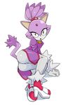  amber_eyes blaze_the_cat butt cat feline female high_heels looking_at_viewer purple sega shoes sonic_(series) tagme tail unknown_artist 
