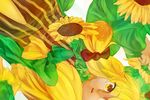  alternate_color alternate_hair_color blonde_hair bow dqn_(dqnww) dutch_angle flower hair_bow patchouli_knowledge sidelocks solo striped sunflower touhou yellow_eyes 